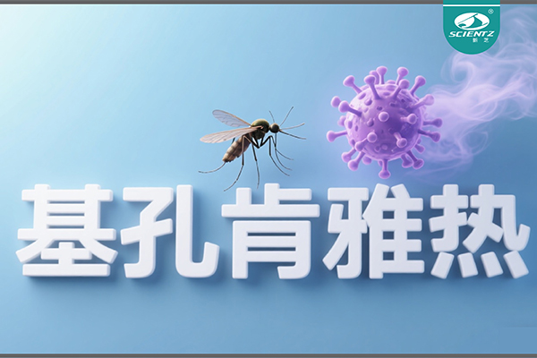 基孔肯雅熱疫情升級！新芝生物硬核技術(shù)助力病毒精準(zhǔn)診斷