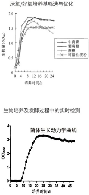 過程安全，結(jié)果精準(zhǔn)